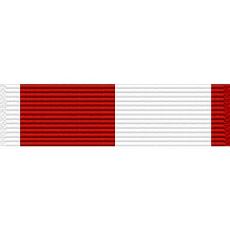 Alabama National Guard Faithful Service Medal Ribbon-
